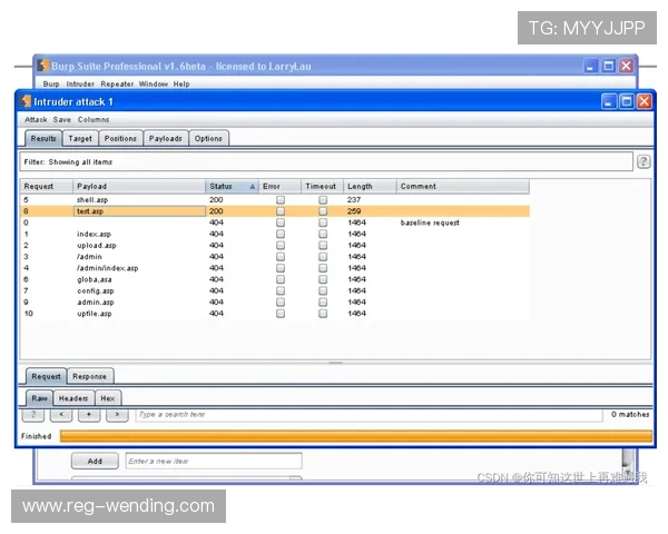 亚博在线登录常见错误原因分析及解决方案，提升登录成功率