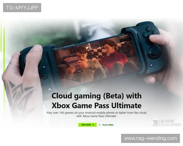 使用开云游戏网址前必须知道的安全提示及常见错误操作指南 使用开云游戏网址前必须知道的安全提示及常见错误操作指南