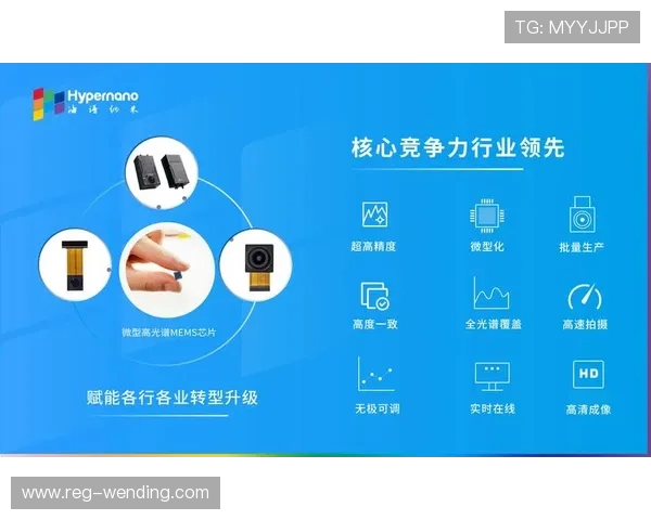 问鼎国际版:打造国际品牌的核心竞争力与发展路径 问鼎国际版:打造国际品牌的核心竞争力与发展路径