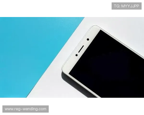 掌握问鼎官方网站入口注册登录流程详细步骤让你轻松畅玩手机端游戏 掌握问鼎官方网站入口注册登录流程详细步骤让你轻松畅玩手机端游戏