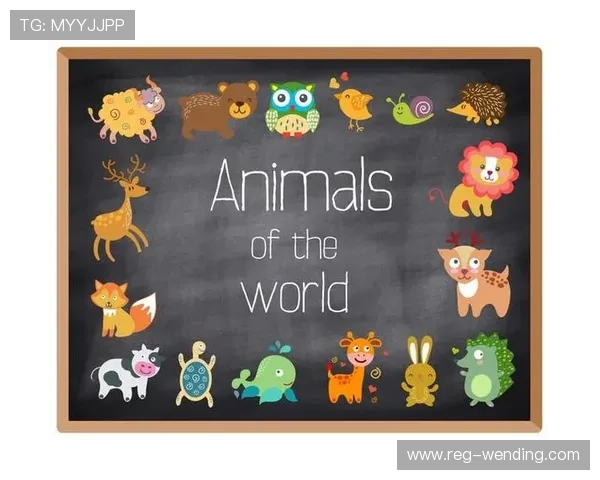 易游体育yy的用户评价与口碑分析了解平台信誉与服务质量的真实反馈