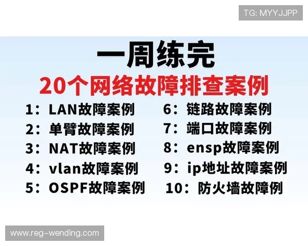 问鼎网页版在线登陆遇到问题怎么办？常见故障排查与解决方案全攻略